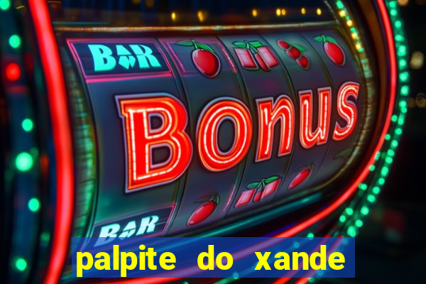 palpite do xande de hoje